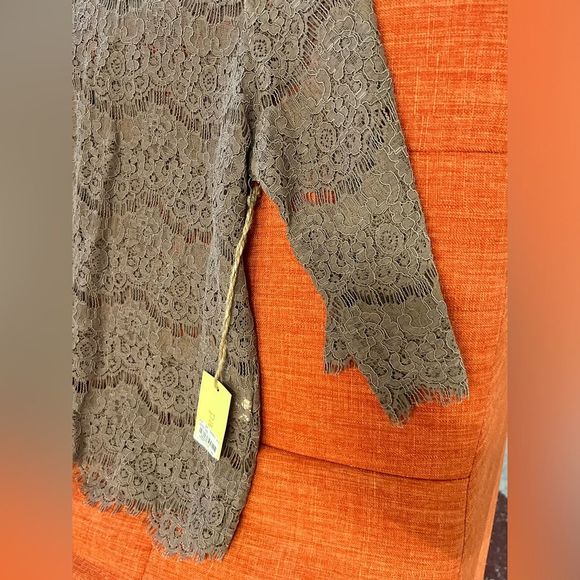 Paper + Tee NWT Neutral Sheer Lace/Eyelet Blouse - Picture 4 of 8